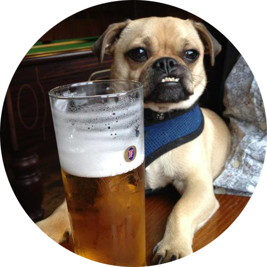 dog-with-beer